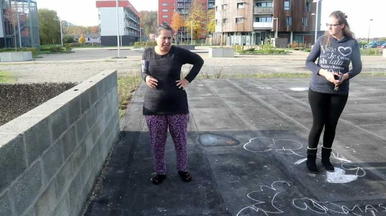 La Louvière : un témoin explique comment le chat retrouvé découpé en trois morceaux a été attaqué par deux chiens à la cité Jardin à Saint-Vaast