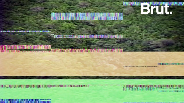 L'histoire des Kanaks : le peuple autochtone de Nouvelle-Calédonie