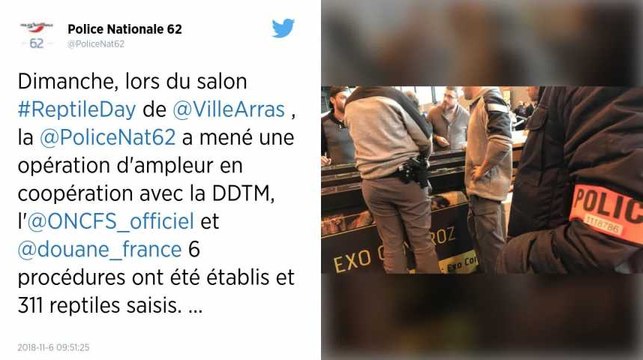 Pas-de-Calais. Plus de 300 reptiles saisis lors d’un salon international.