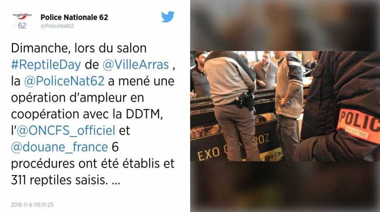 Pas-de-Calais. Plus de 300 reptiles saisis lors d’un salon international.