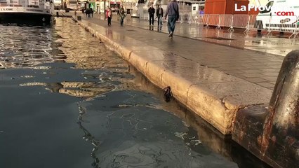 Marseille : après les fortes pluies, le Vieux-Port est sur le point de déborder