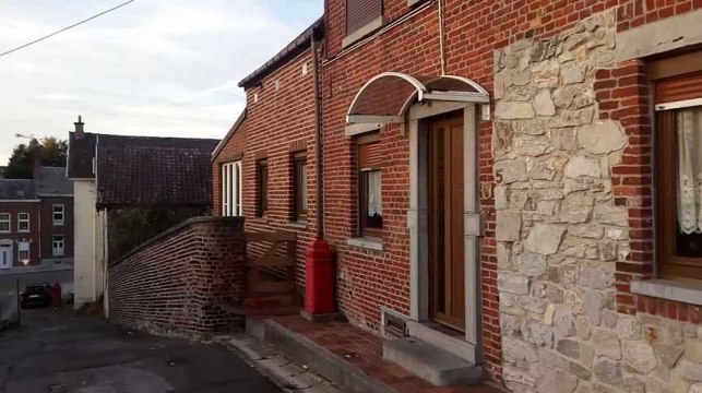 Fontaine-L'Evêque: une dame blessée après avoir voulu séparer ses deux chiens qui se battaient