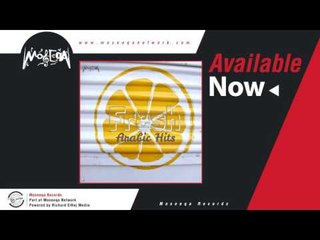 Samer Abo Taleb - Ahla El Nesaa' / سامر ابو طالب - احلي النساء