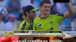 Pakistan Best Bowling | Shaheen Shah Afridi | Best Bowling 5 Wickets | Cricket | Highlights
