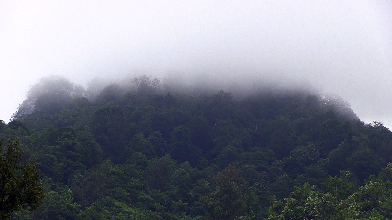 Mountain fog