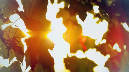 A vendre - Appartement - Ollon (1867) - 2.5 pièces - 62m²