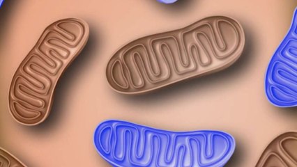 치매·파킨슨병 공통 원인 규명...새 치료제 기대 / YTN