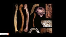 Anthropologist Suggests Apparent Abundance Of Early-Human Deformities Is Linked To Inbreeding