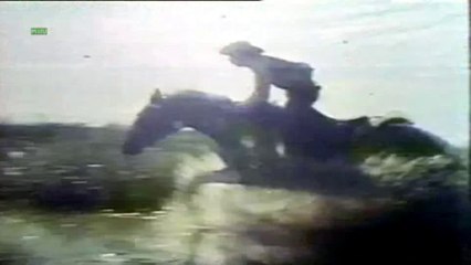 Cigarro Arizona 1976