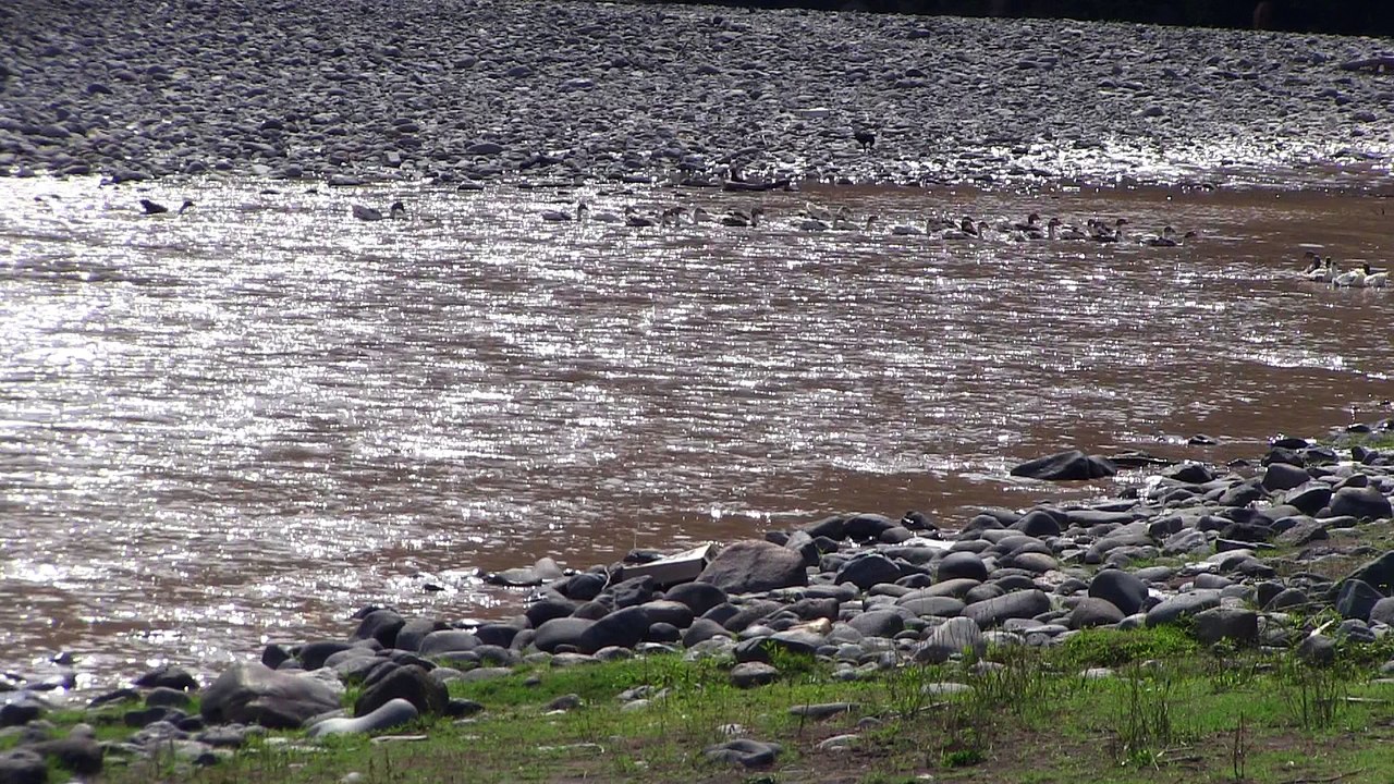 Mountain river