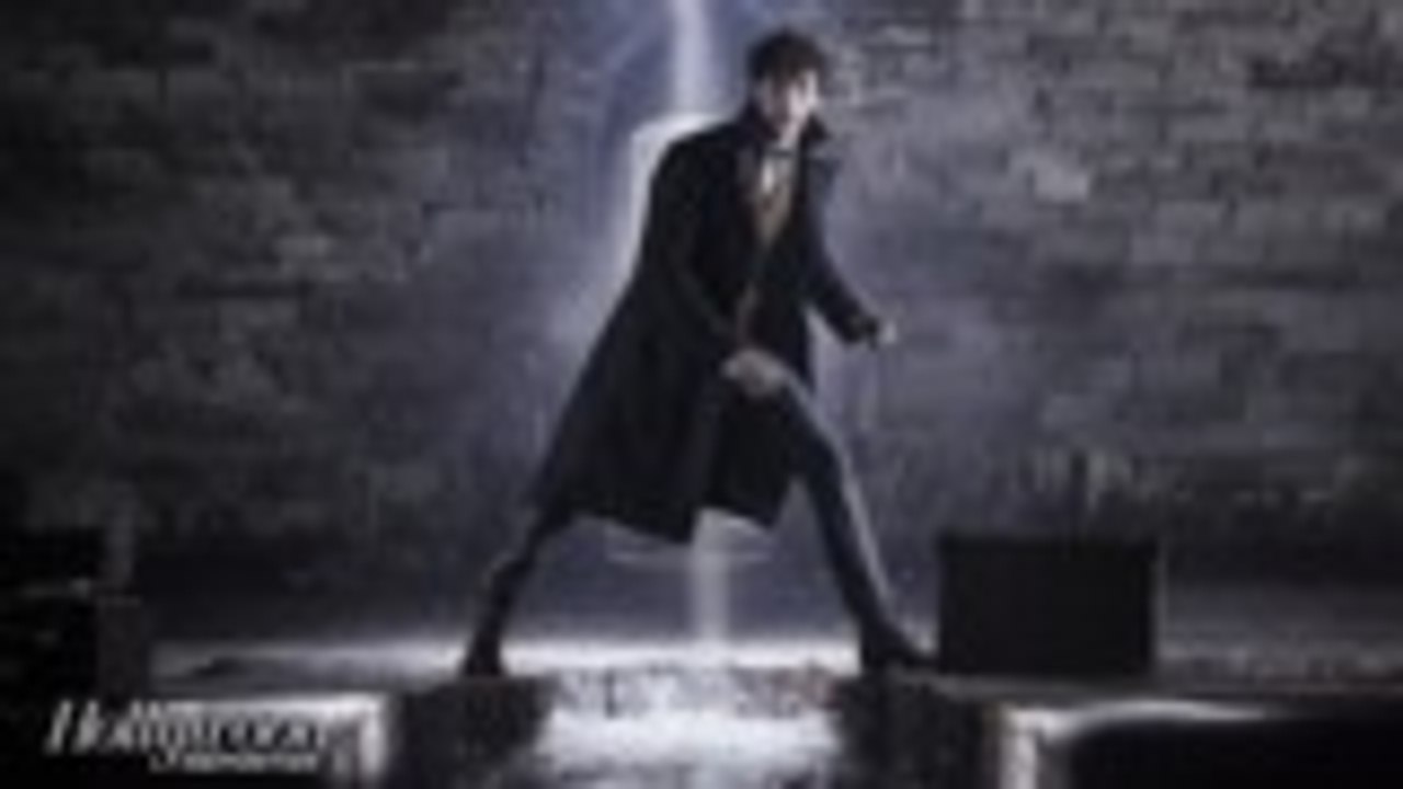 Critics Respond to 'Fantastic Beasts: The Crimes of Grindelwald' | THR News