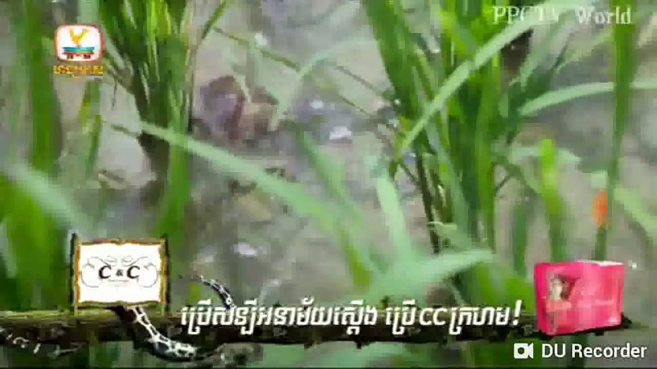 រឿង កូនពោះកេងកង , Hang Meas HDTV,  ភាគ 01