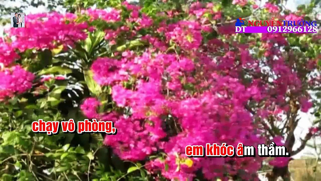 Karaoke Lận Đận Chữ Duyên Beat Chuẩn [ Lưu Ánh Loan ]
