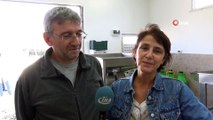 Emekli çift zeytin yağı üretmek için üniversite okuyor