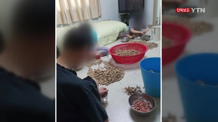 [단독] "장애인 학대·성폭행"...동산원 수사 착수 / YTN