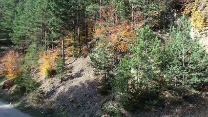 Kunduz Ormanları'nda sonbahar güzelliği - SAMSUN