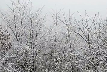 릴게임야마토, 온라인릴게임 ☸☸ V F V 7 점 C 0 M ☸☸ 온라인릴게임