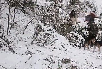 바다이야기사이트추천, 온라인릴게임 ☸☸ V F V 7 점 C 0 M ☸☸ 온라인릴게임