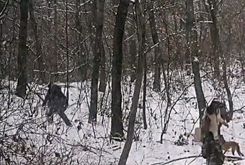 바다이야기사이트추천, 손오공릴게임 ☸☸ V F V 7 점 C 0 M ☸☸ 온라인릴게임추천