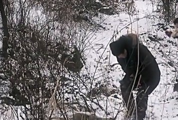 바다이야기사이트추천, 릴게임야마토 ☸☸ V F V 7 점 C 0 M ☸☸ 온라인릴게임