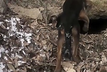 릴게임사이트, 인터넷릴 ☸☸ V F V 7 점 C 0 M ☸☸ 온라인릴게임