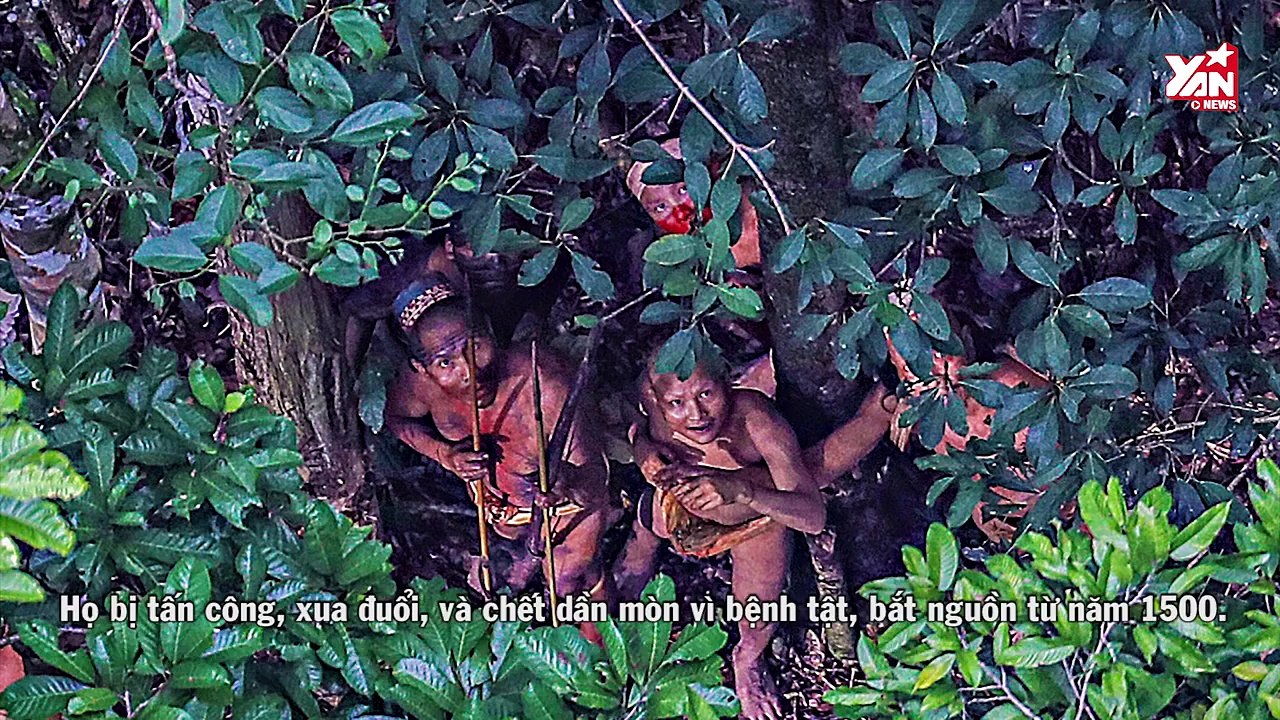 Chấn động - Một nền văn minh vừa được phát hiện ở giữa rừng rậm Amazon