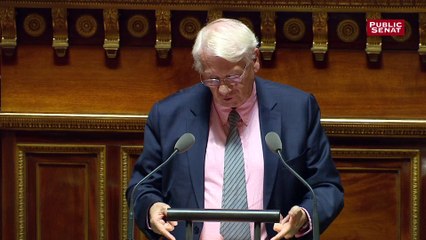 Brexit : les sénateurs mettent en garde le gouvernement