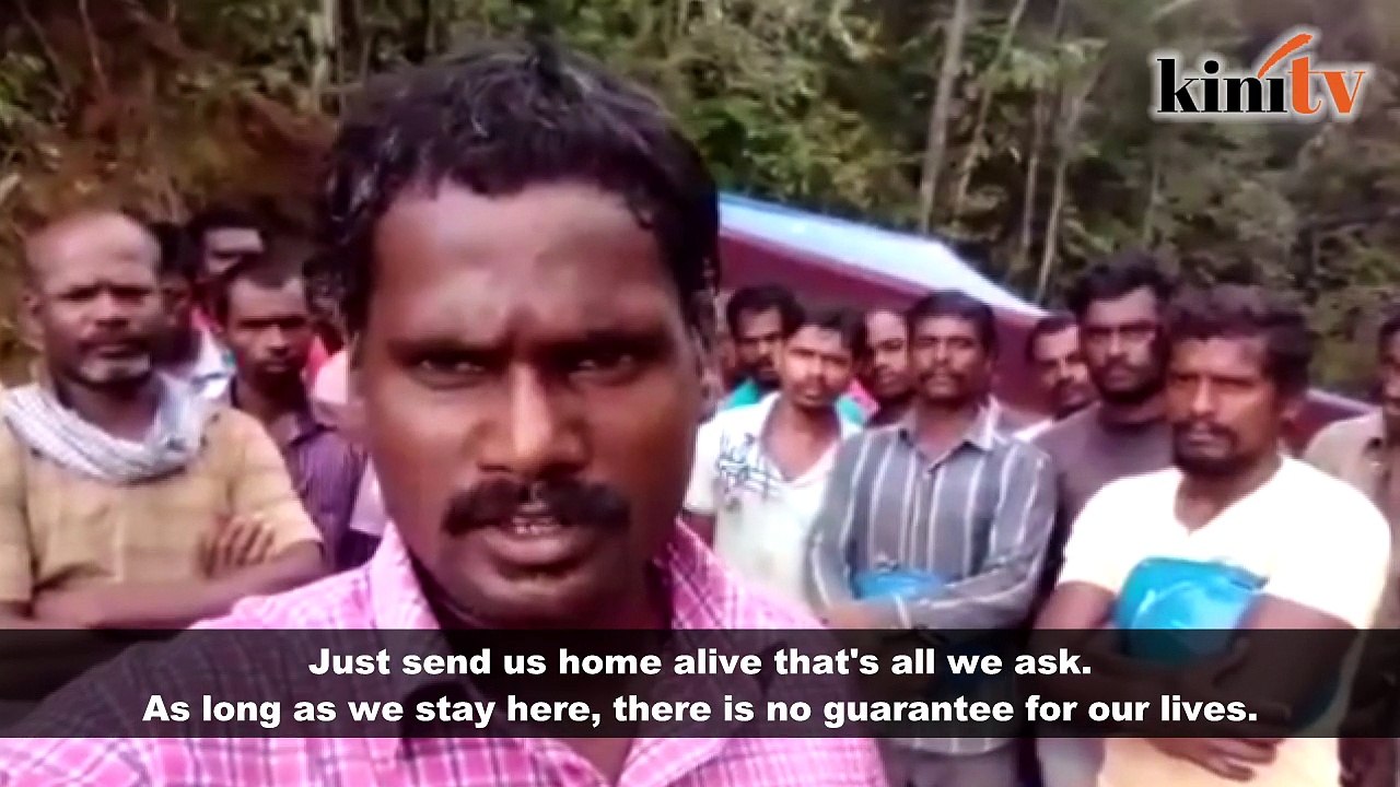 Authorities probing 'forced labour in Bentong' video