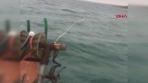 Çanakkale Gelibolu'da Balıkçı Kardeşlerin Ağlarına 1000 Lüfer Takıldı