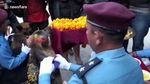 Nepal honors police canines in 'day of the dogs' festival
