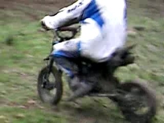 petite apres midi dans les bois
