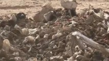 Halladas más de 200 fosas con restos de miles de civiles en Irak