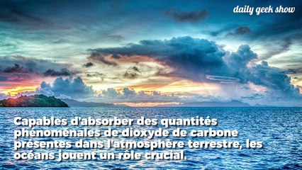 Les fonds marins se dissolvent tellement les océans sont acides