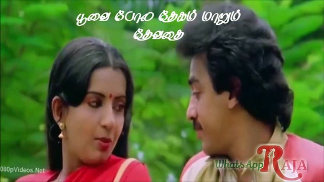 WhatsApp Ilaiyaraja Status - Vaanile Thenila - அழகான தமிழ் காதல் வரிகள்