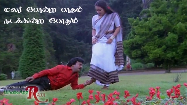 WhatsApp Ilaiyaraja Staus - Vaa Vennilaa - அழகான காதல் வரிகள்