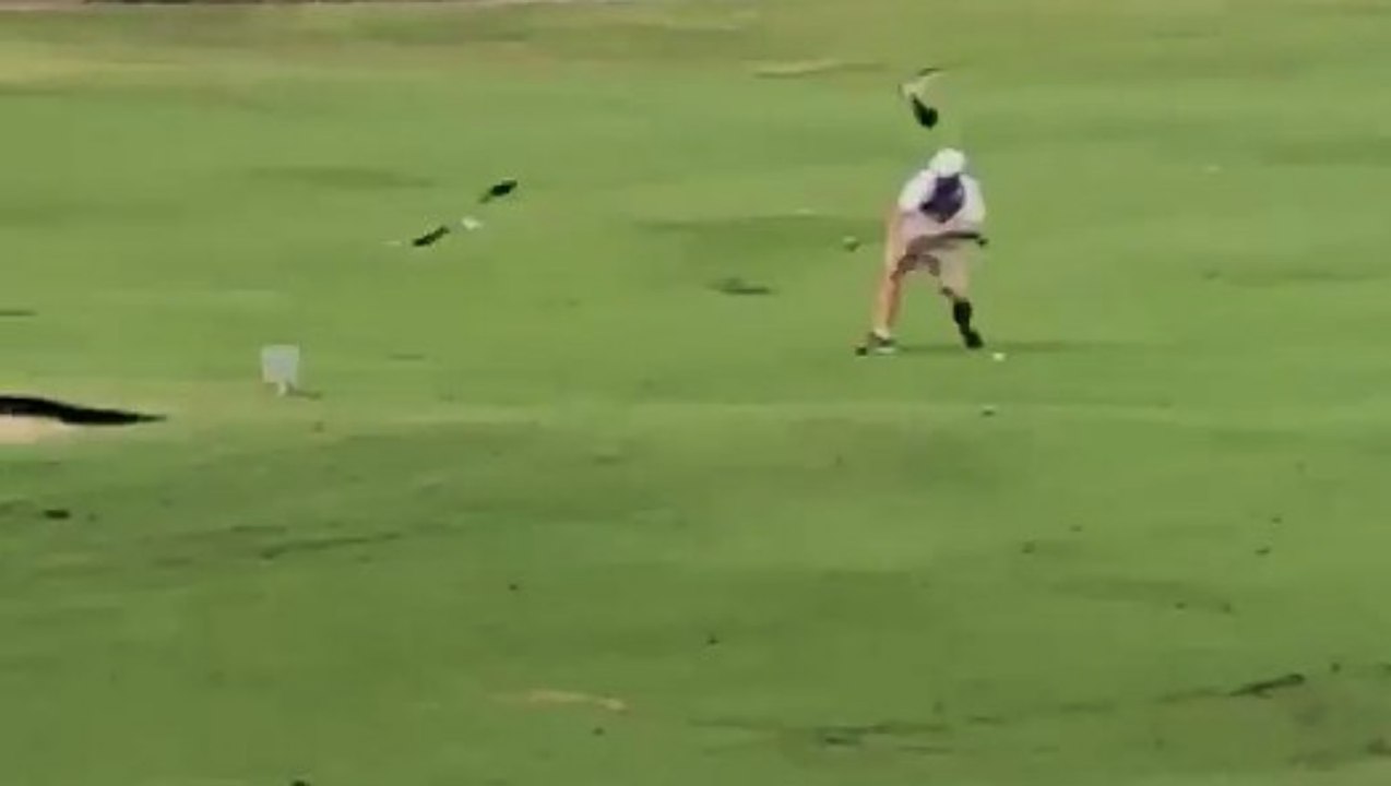 Des oiseaux énervés attaquent un golfeur et ne lâchent pas l'affaire !