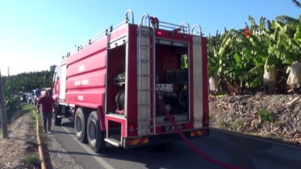 Alanya’da otluk alanda yangın paniği