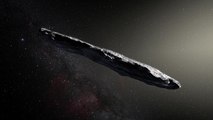 علماء هارفارد: الجرم السماوي ”أومواموا“ قد يكون سفينة مخلوقات فضائية