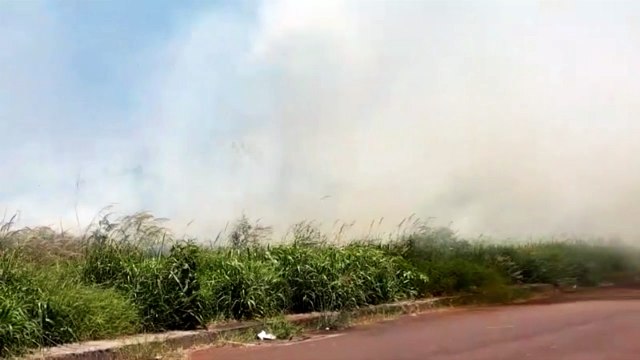 Incêndio ambiental toma grandes proporções no Universitário