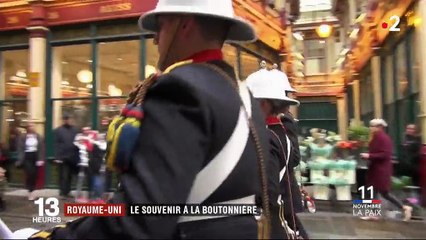 Royaume-Uni : le coquelicot en boutonnière, symbole de la Grande Guerre
