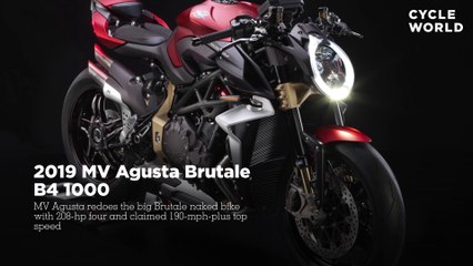 2019 MV Agusta Brutale B4 1000