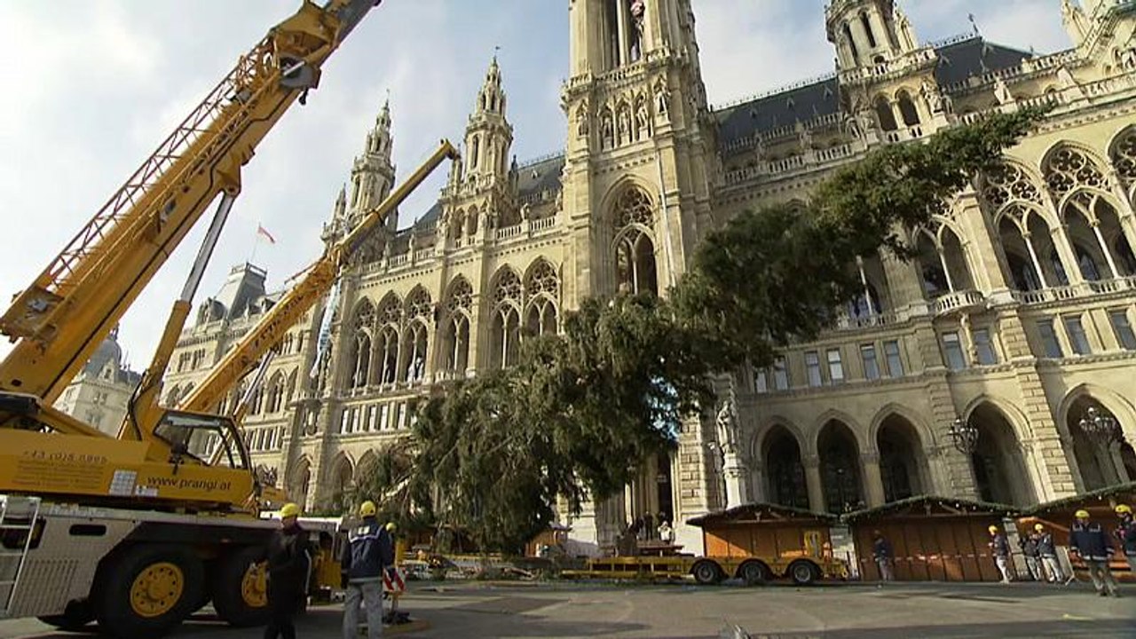 Wien: Zum Christkindlmarkt in kurzen Hosen?