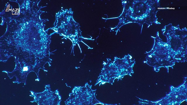 Scientists Discover Cancer ‘Kill Switch’ Within Our Own Cells