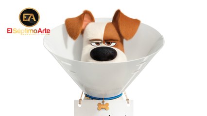 Mascotas 2 - Primer tráiler en español (HD)