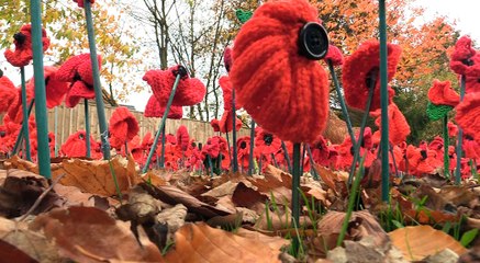 GOODLINES: 8th November 2018