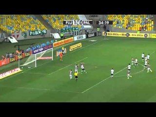Highlights of Fluminense vs. Palmeiras - Brasileirão Round 21 (Sep 13, 2014) ⚽