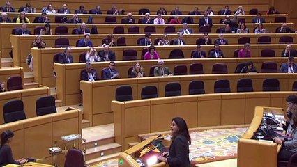 María Arenales (PP) en el Senado