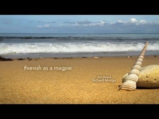 Minuscule - Thievish as a Magpie / Pie Voleuse (Season 2)