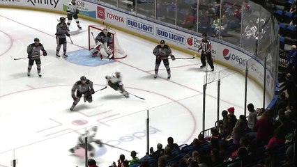 Iowa Wild Vs. Rockford IceHogs Wild3 Hogs0