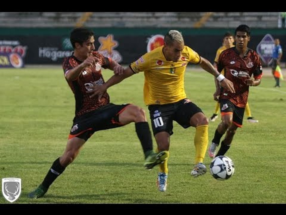 Venados  1:3 Alebrijes de Oaxaca